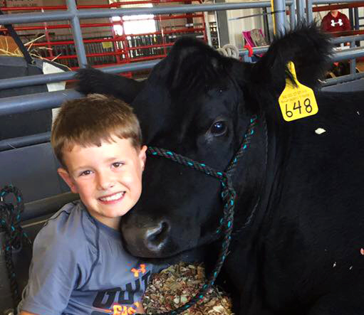 1st year 4-H Steer Project