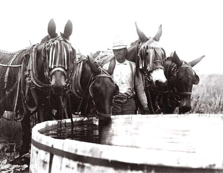 Water - Lifeblood of the West